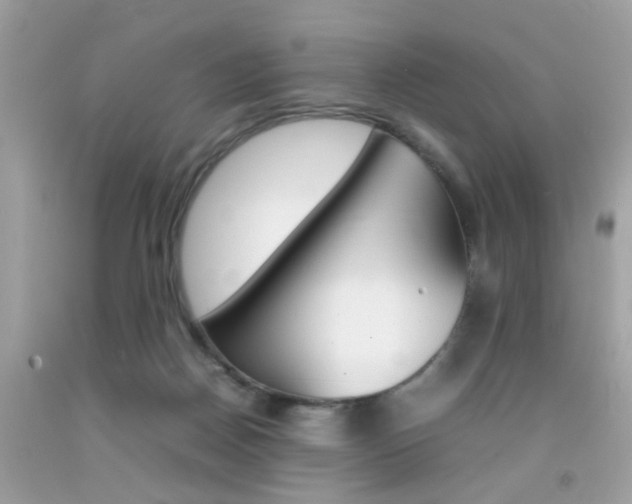 X0000092090170200709121133