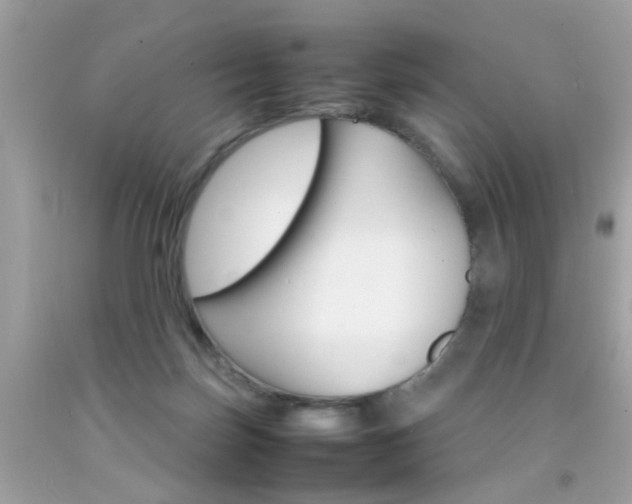 X0000092090171200709121133
