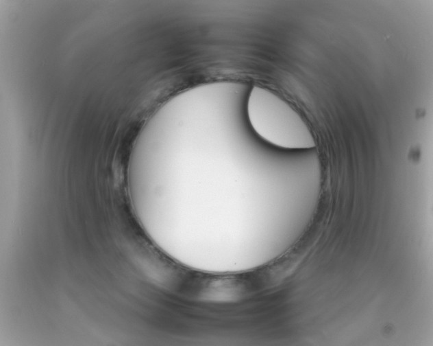 X0000092090173200709121133