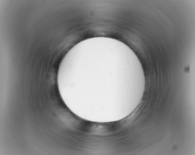 X0000092090174200709121133