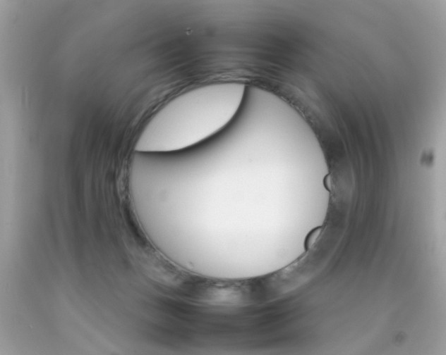 X0000092090175200709121133