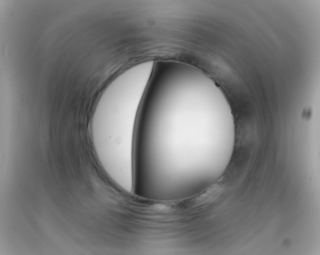 X0000092090176200709121133