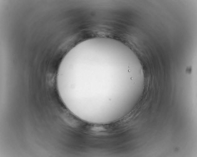 X0000092090177200709121133
