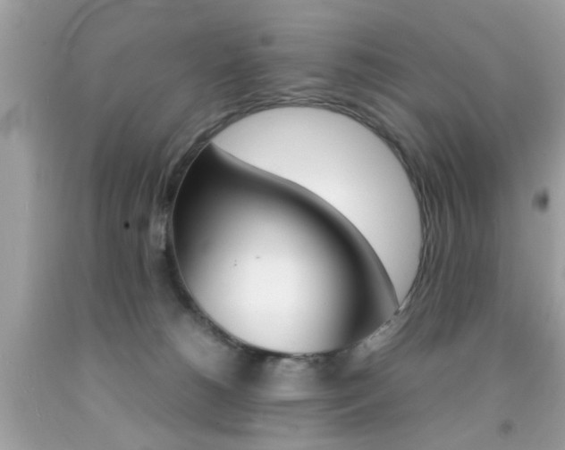 X0000092090180200709121133