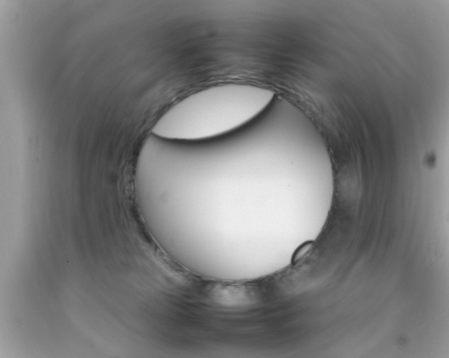 X0000092090181200709121133