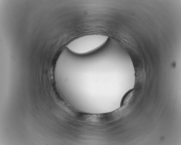 X0000092090182200709121133