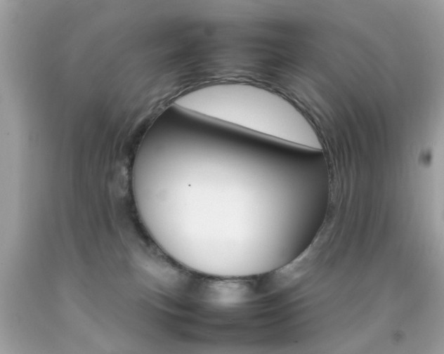 X0000092090183200709121133