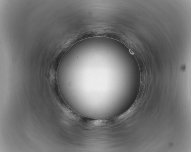 X0000092090184200709121133
