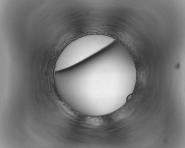 X0000092090185200709121133