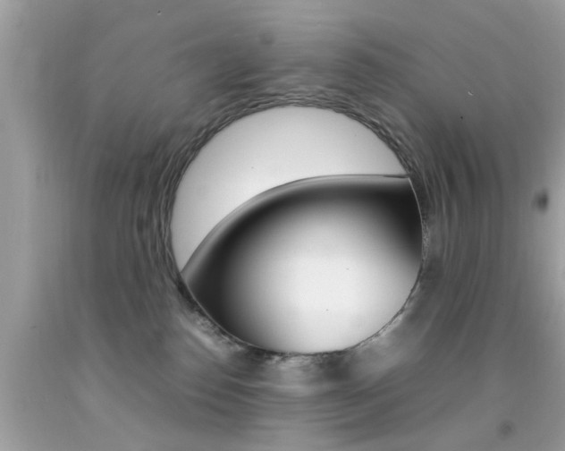 X0000092090186200709121133