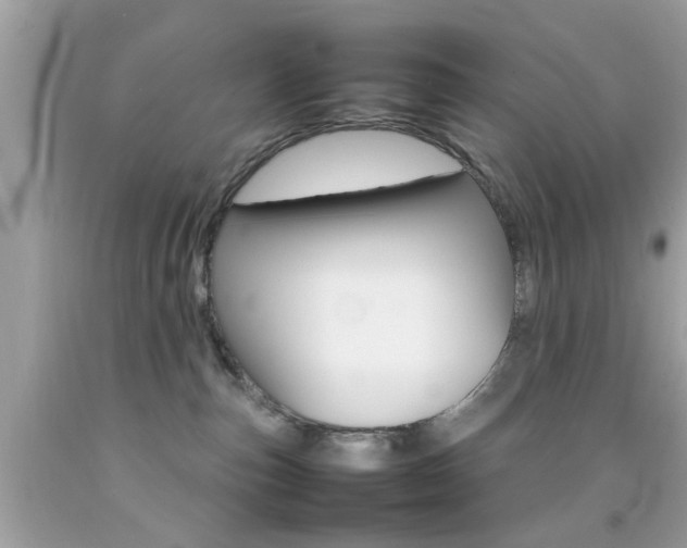 X0000092090187200709121133
