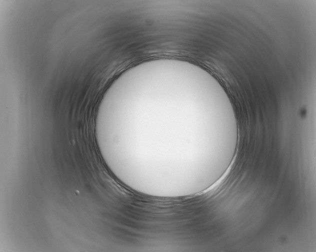 X0000092090190200709121134
