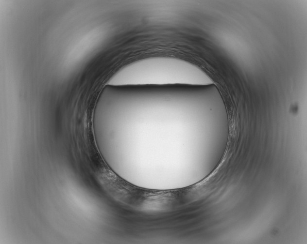 X0000092090191200709121134