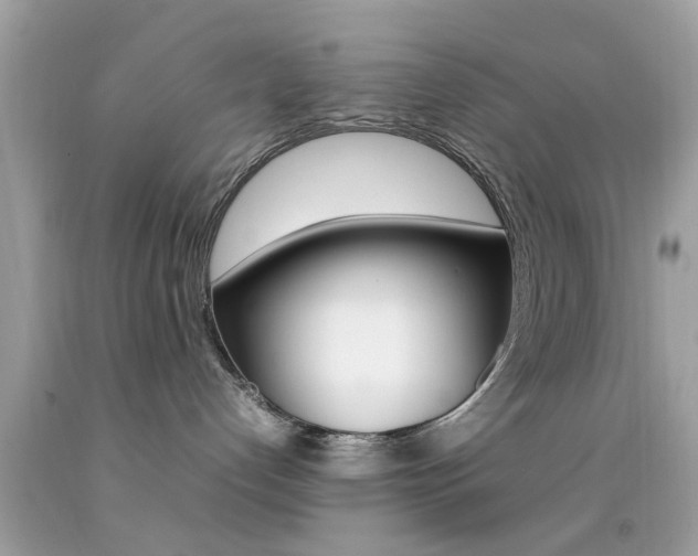 X0000092090192200709121134
