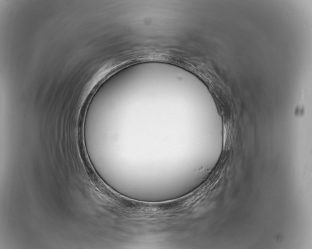 X0000092090195200709121133