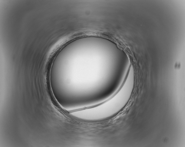 X0000092090197200709121133
