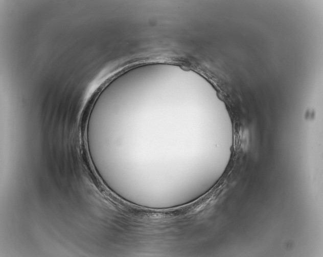 X0000092090198200709121133