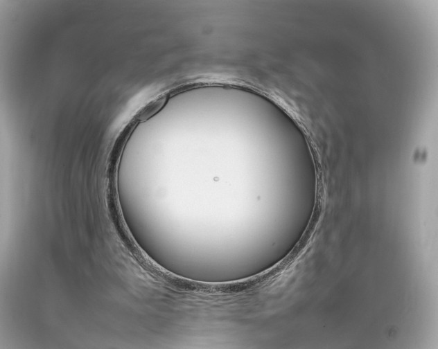X0000092090199200709121133