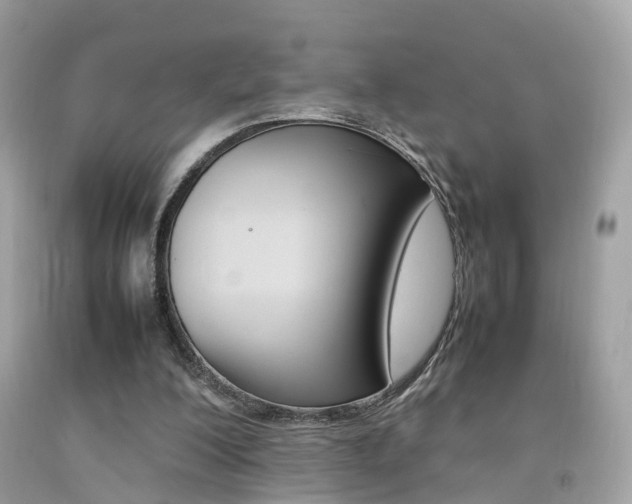 X0000092090200200709121133