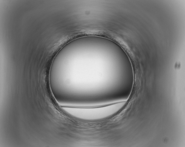 X0000092090201200709121133