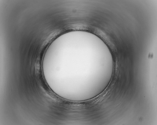 X0000092090202200709121133