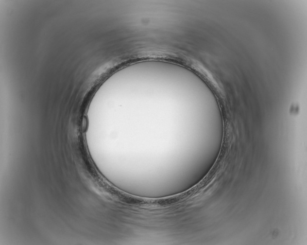 X0000092090203200709121133