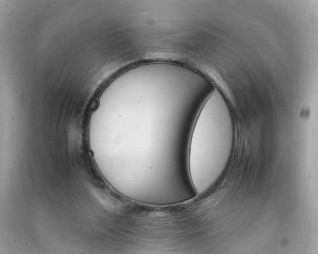 X0000092090204200709121133