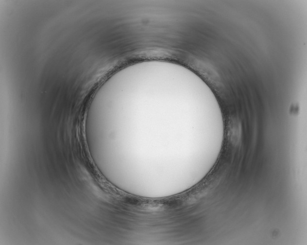 X0000092090206200709121133