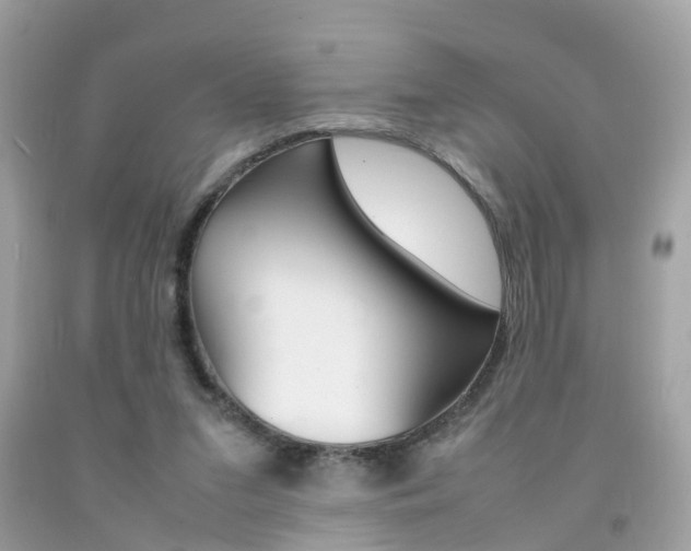 X0000092090207200709121133