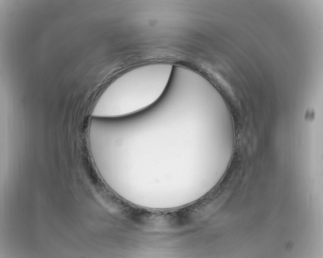 X0000092090209200709121133