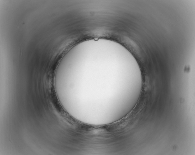 X0000092090210200709121133