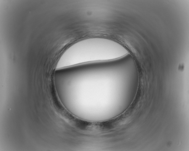 X0000092090211200709121133