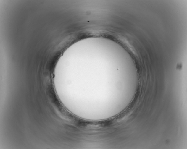 X0000092090213200709121133