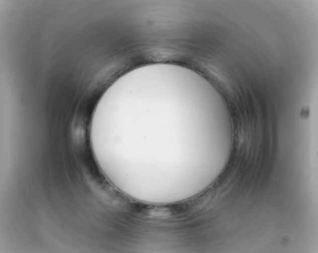 X0000092090214200709121133