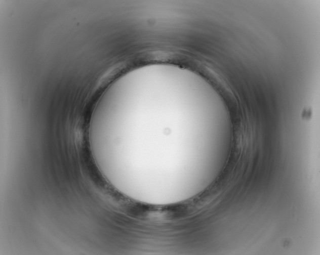 X0000092090216200709121133