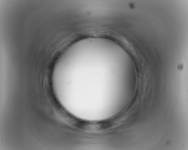 X0000092090217200709121133
