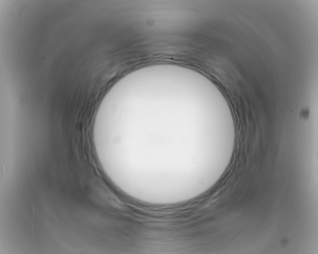 X0000092090219200709121133