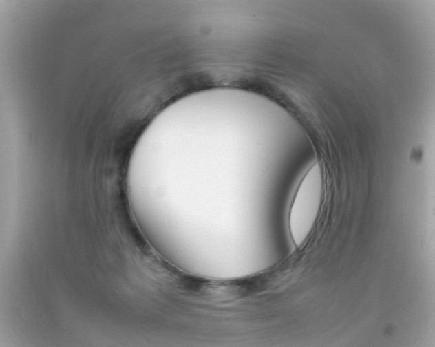 X0000092090221200709121132