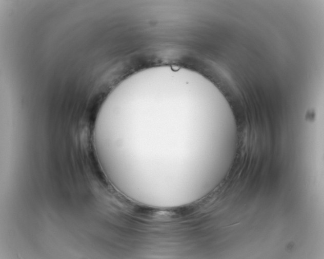 X0000092090222200709121132