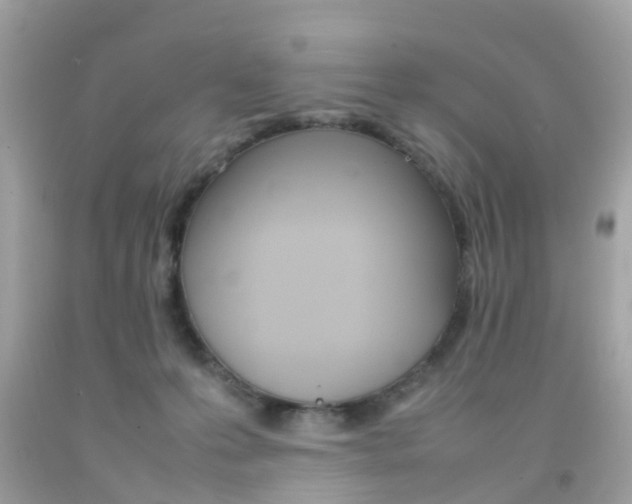 X0000092090223200709121132