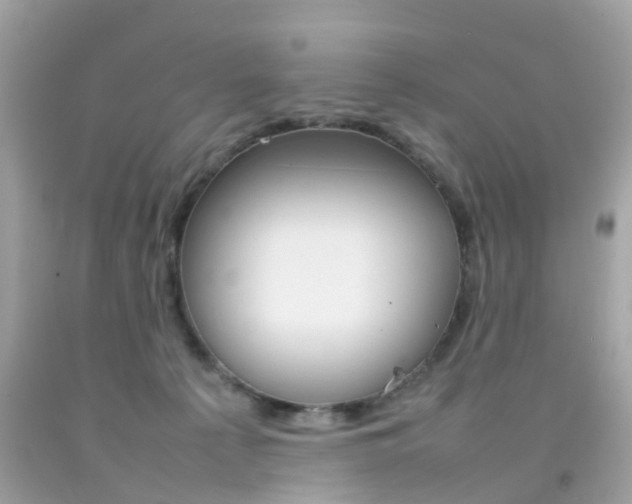 X0000092090225200709121132