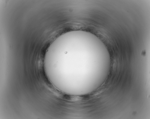 X0000092090226200709121132