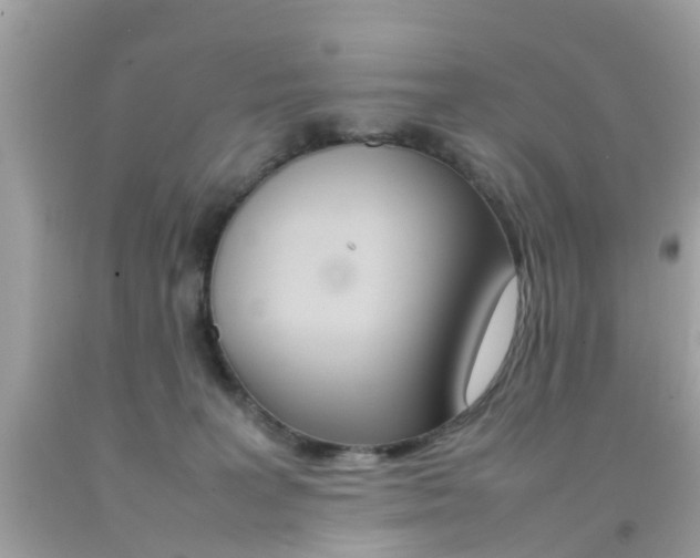 X0000092090227200709121132