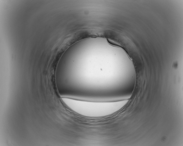 X0000092090229200709121132
