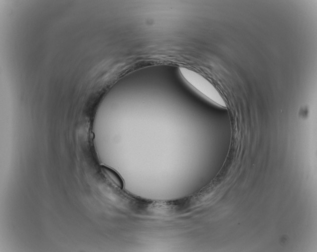 X0000092090231200709121132