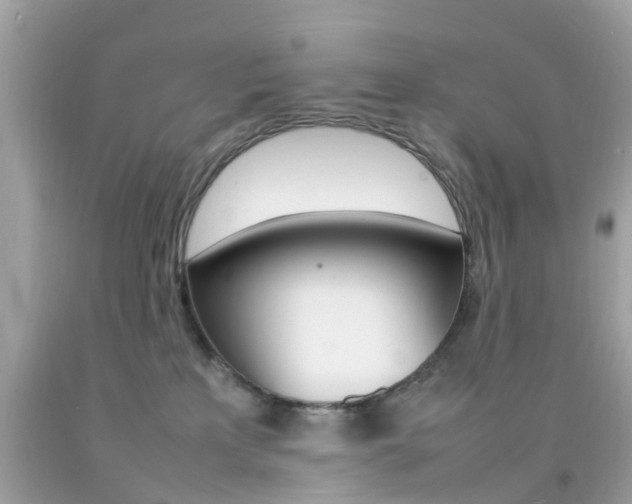 X0000092090233200709121132