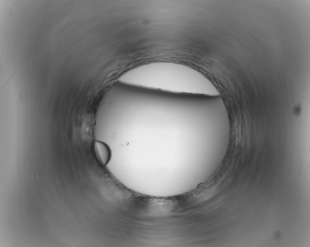 X0000092090234200709121132