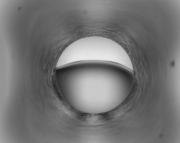 X0000092090235200709121132