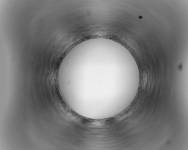 X0000092090236200709121132