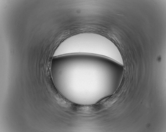 X0000092090237200709121132